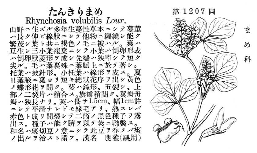 植物図鑑