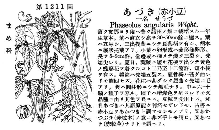 植物図鑑