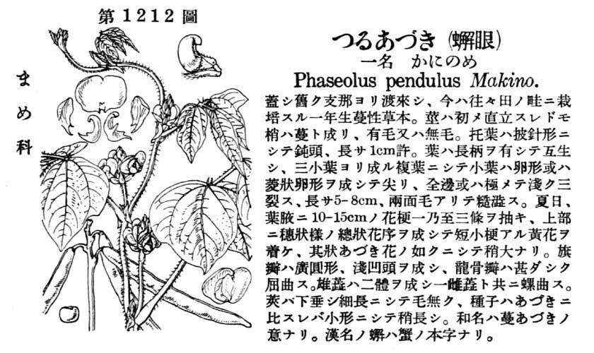 植物図鑑