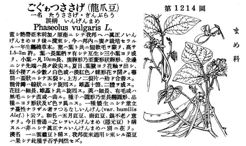 植物図鑑