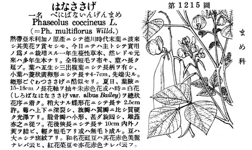 植物図鑑