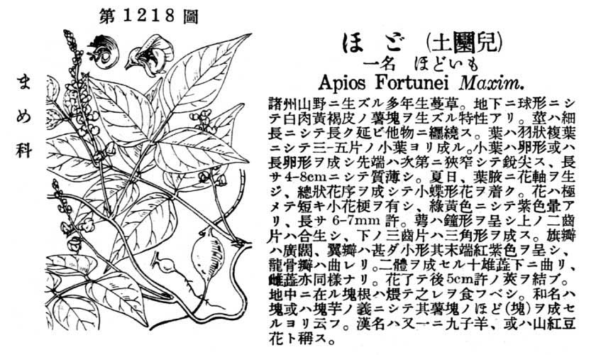 植物図鑑
