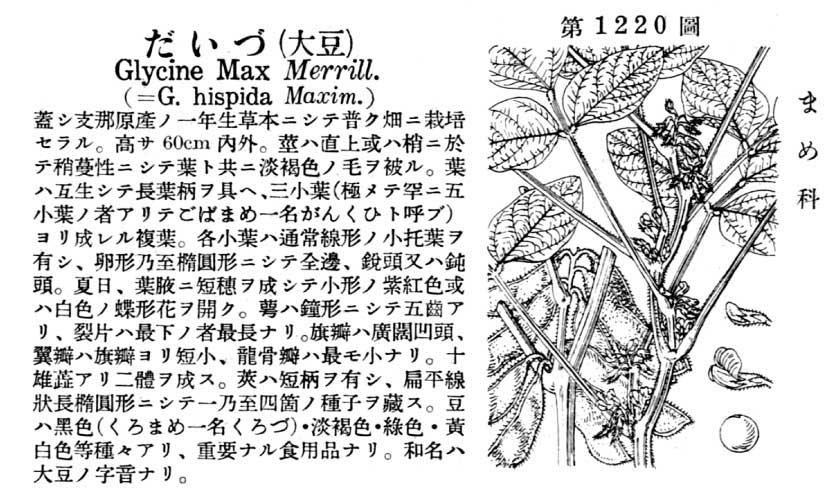 植物図鑑