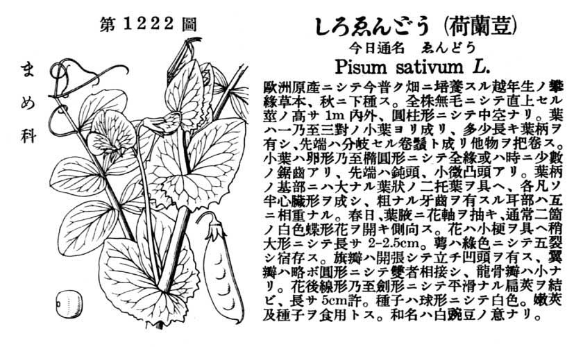 植物図鑑