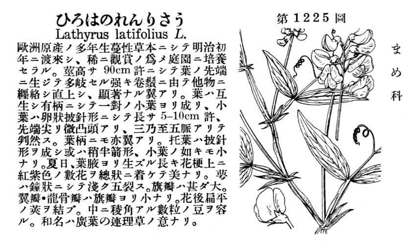 植物図鑑