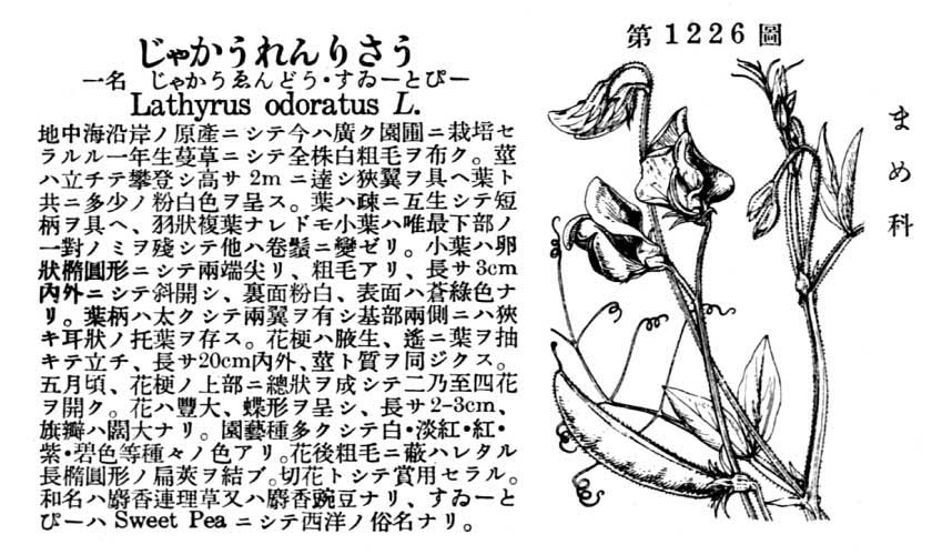 植物図鑑