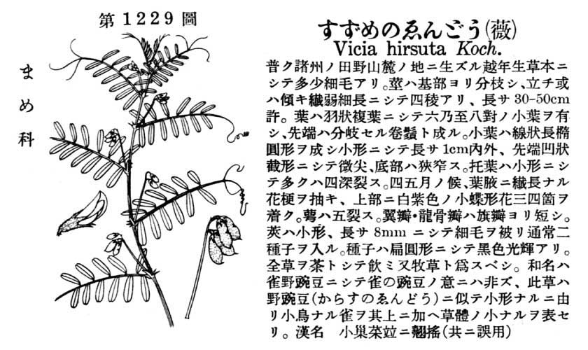 植物図鑑