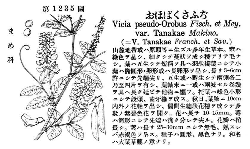 植物図鑑