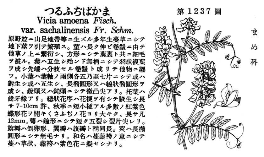 植物図鑑