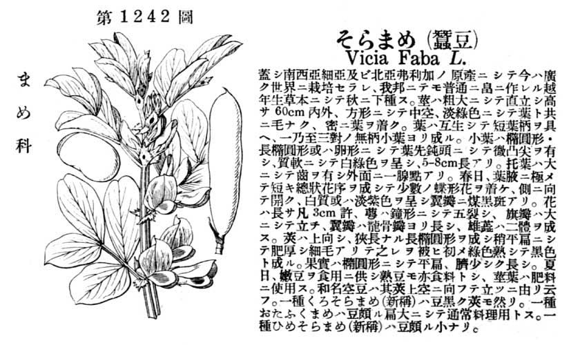 植物図鑑
