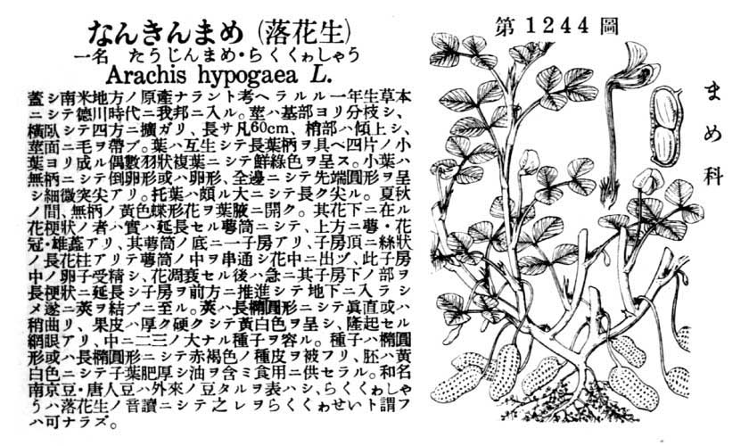 植物図鑑