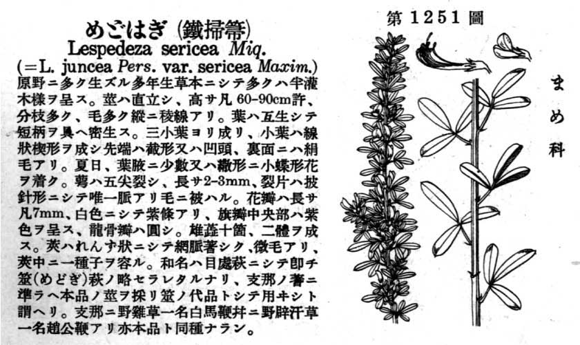 植物図鑑