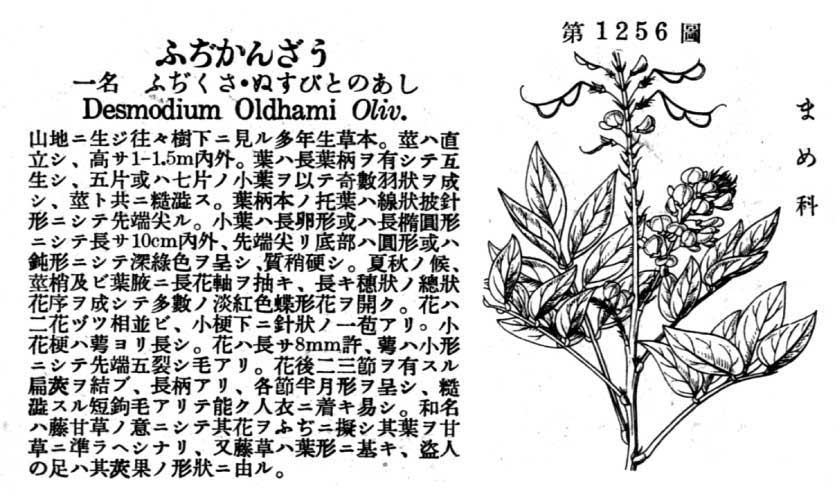 植物図鑑