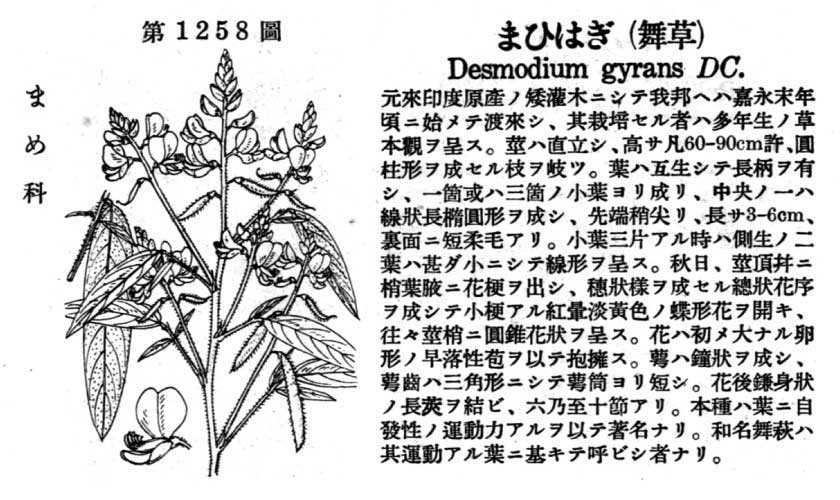 植物図鑑