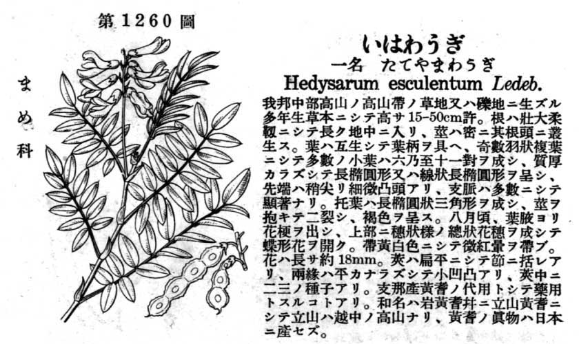 植物図鑑