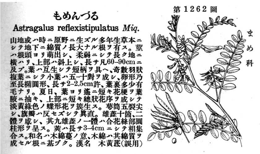 植物図鑑