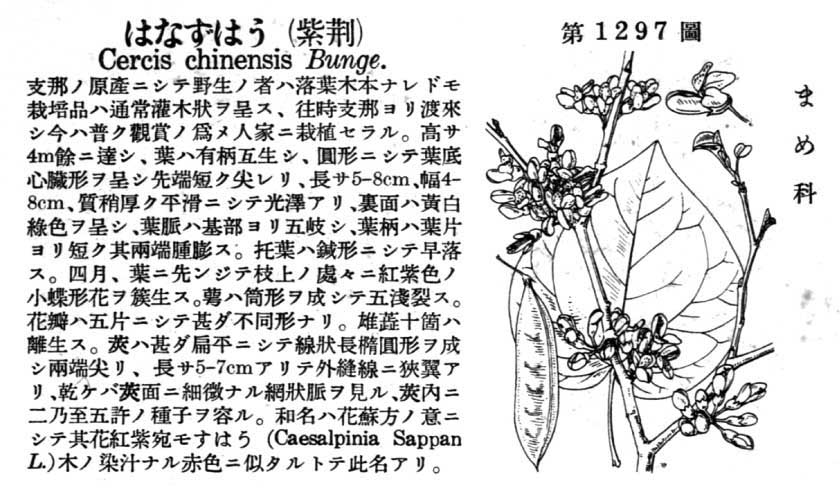 植物図鑑