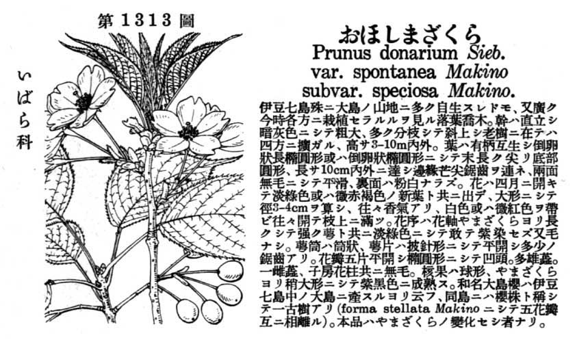 植物図鑑