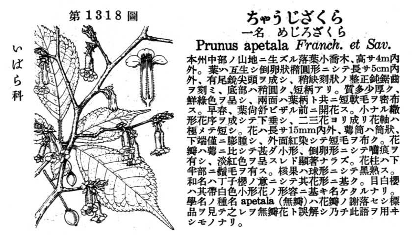 植物図鑑