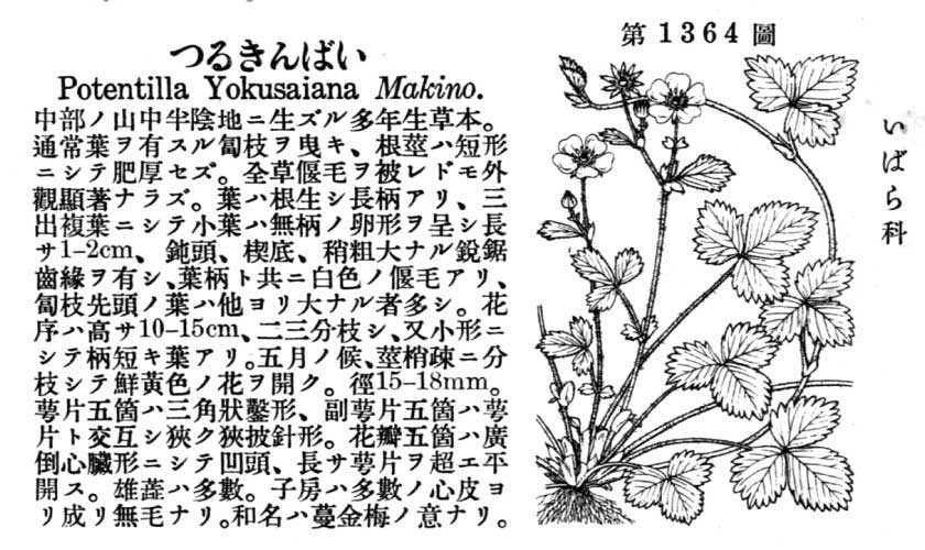 植物図鑑