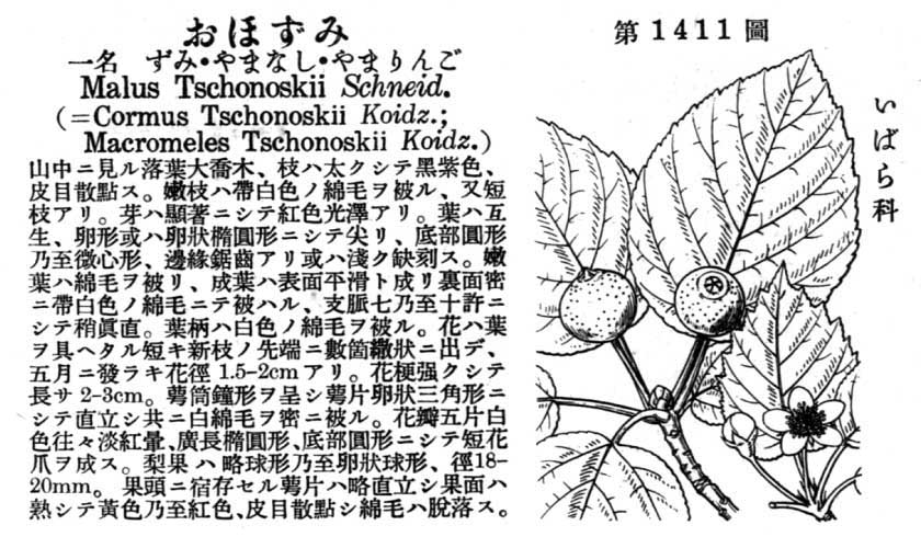 植物図鑑