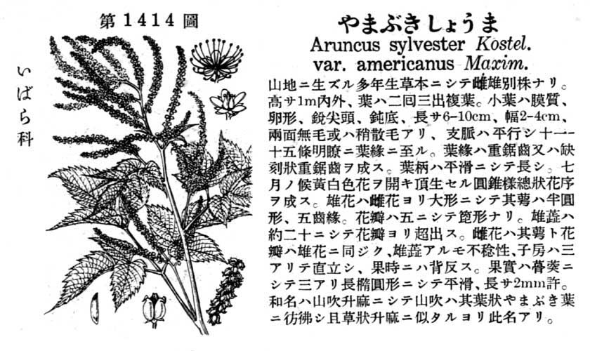 植物図鑑