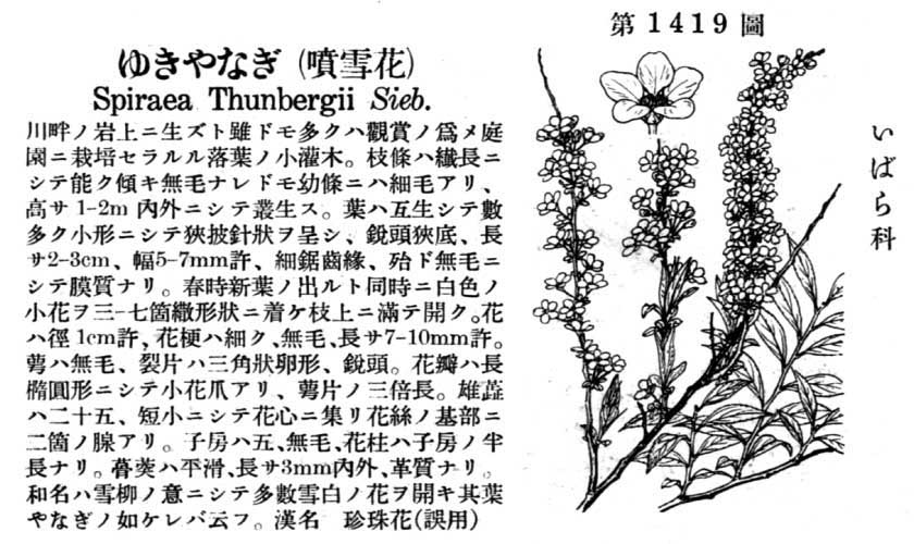 植物図鑑