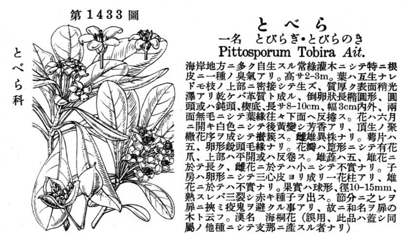 植物図鑑