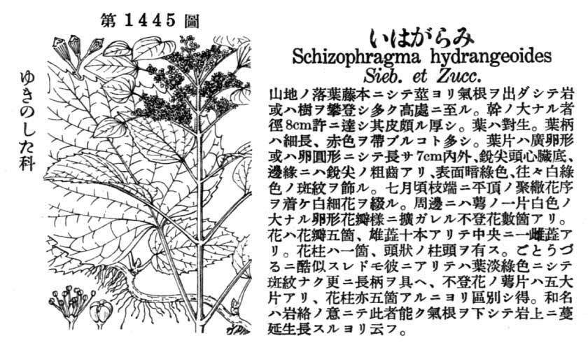 植物図鑑