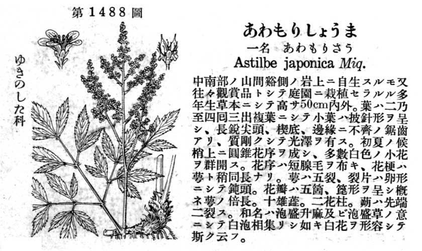 植物図鑑
