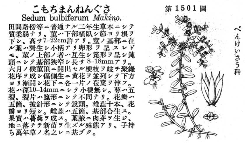 植物図鑑