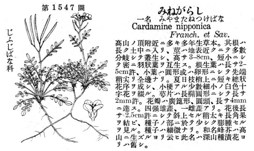 植物図鑑