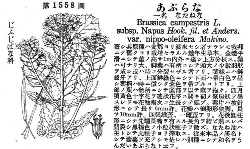 植物図鑑