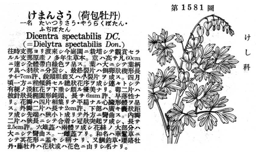 植物図鑑