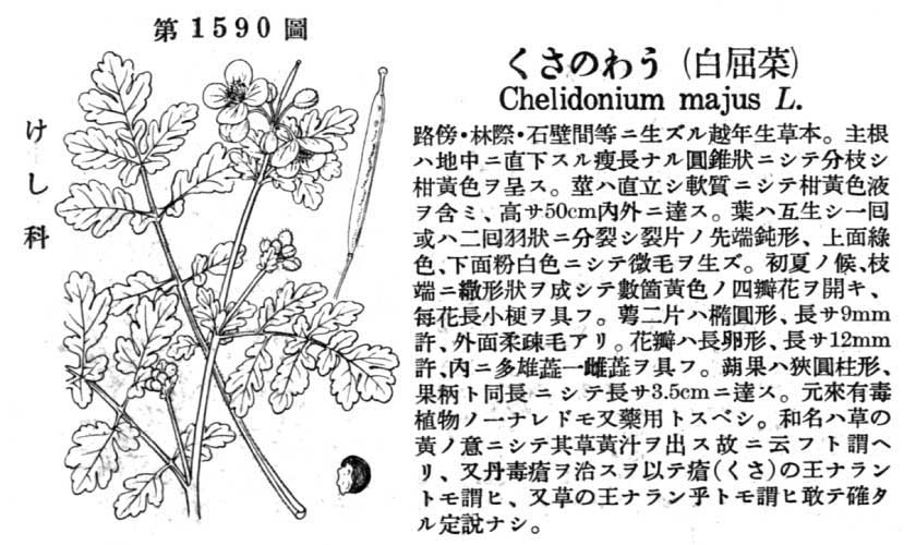 植物図鑑