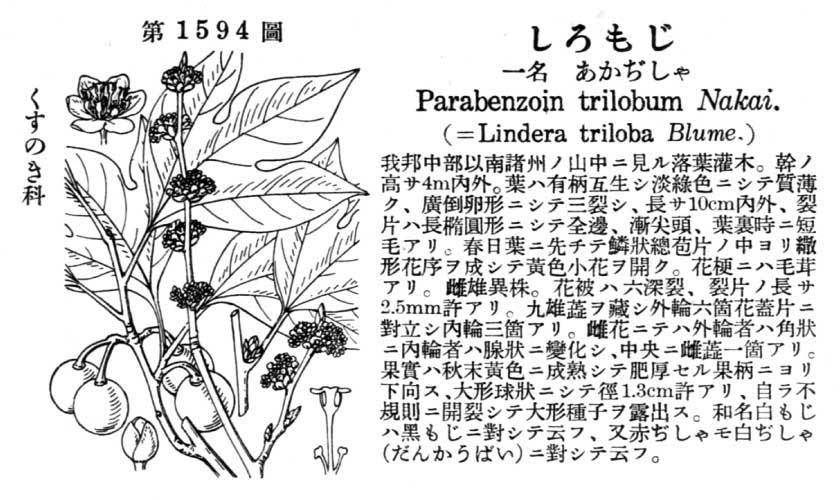 植物図鑑