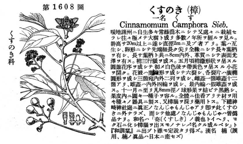 植物図鑑