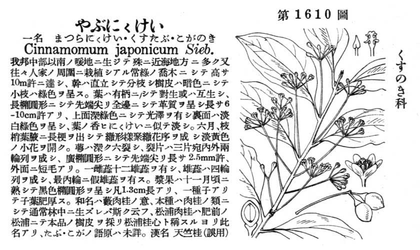 植物図鑑