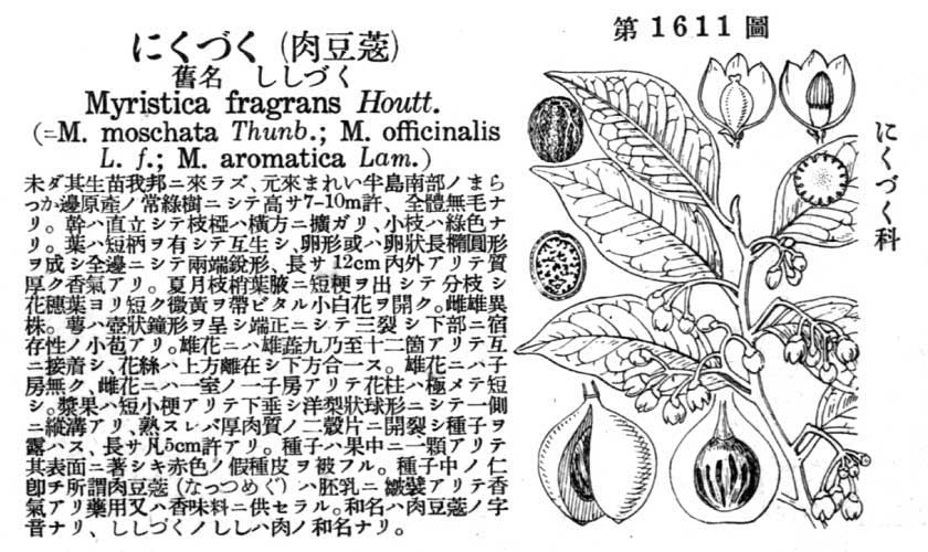 植物図鑑