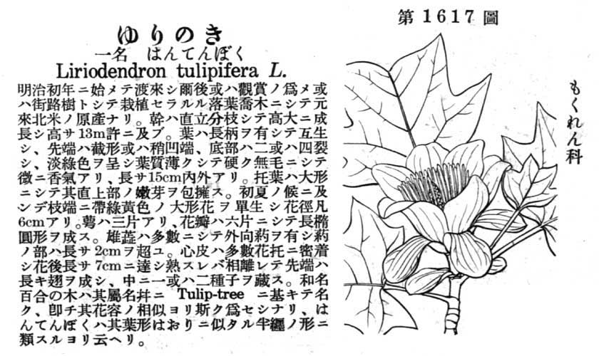 植物図鑑