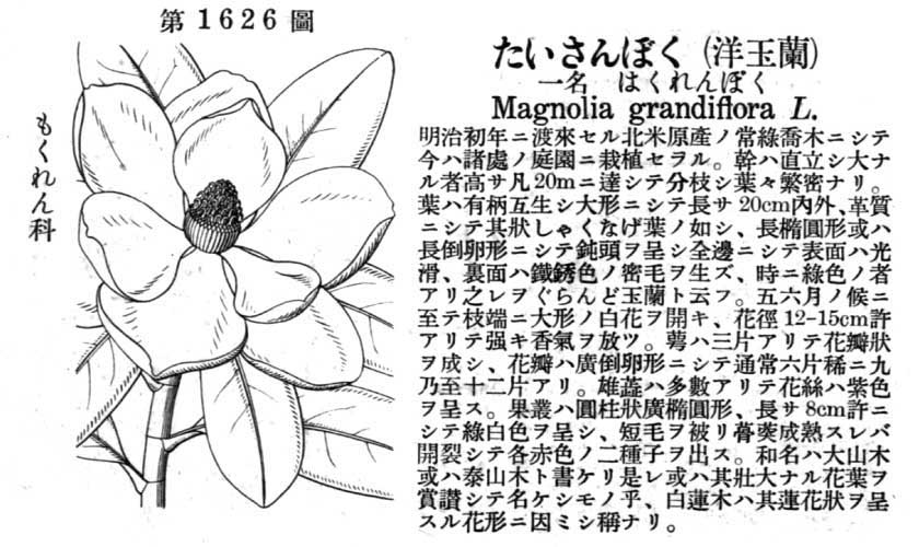 植物図鑑