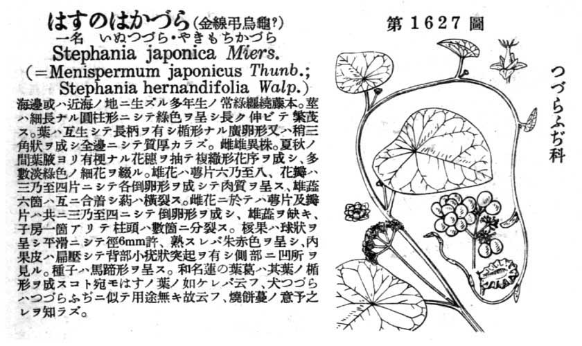 植物図鑑