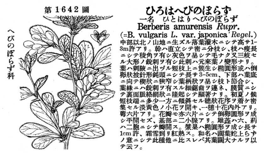 植物図鑑
