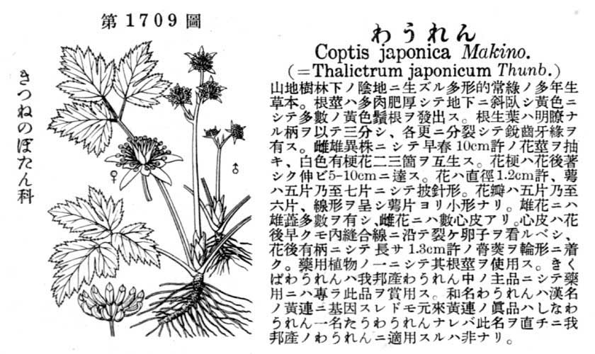 植物図鑑