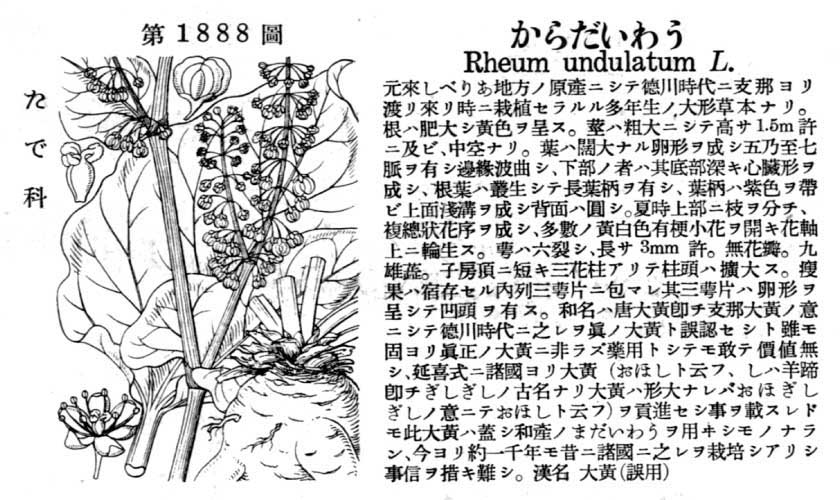 植物図鑑