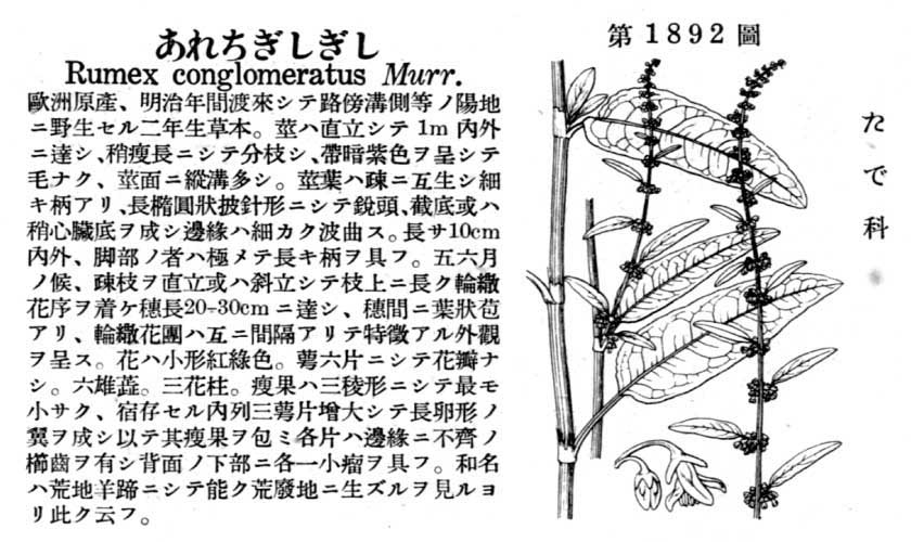 植物図鑑