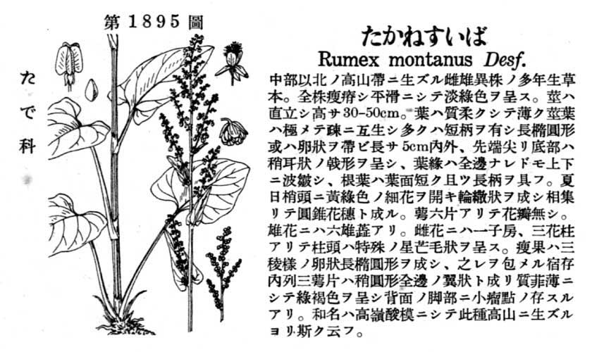 植物図鑑
