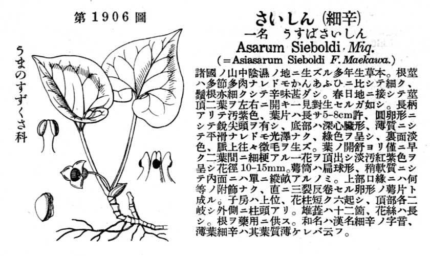 植物図鑑
