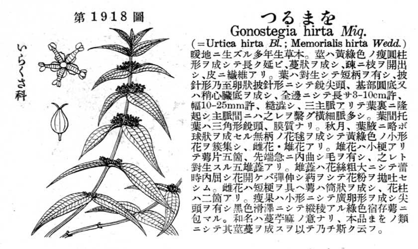 植物図鑑