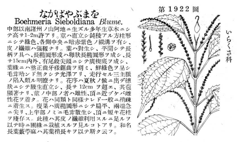 植物図鑑